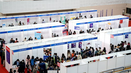 搭建橋梁，助力夢想 上外國際金融貿易學院2021年就業實習專場雙選會成功舉辦