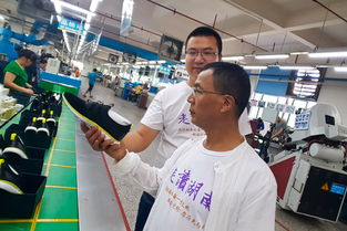 雪峰山下產業興——走讀湖南洞口經濟開發區見聞