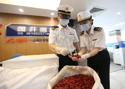 中非經貿博覽會 合作成果豐碩，攜手共譜發展新篇